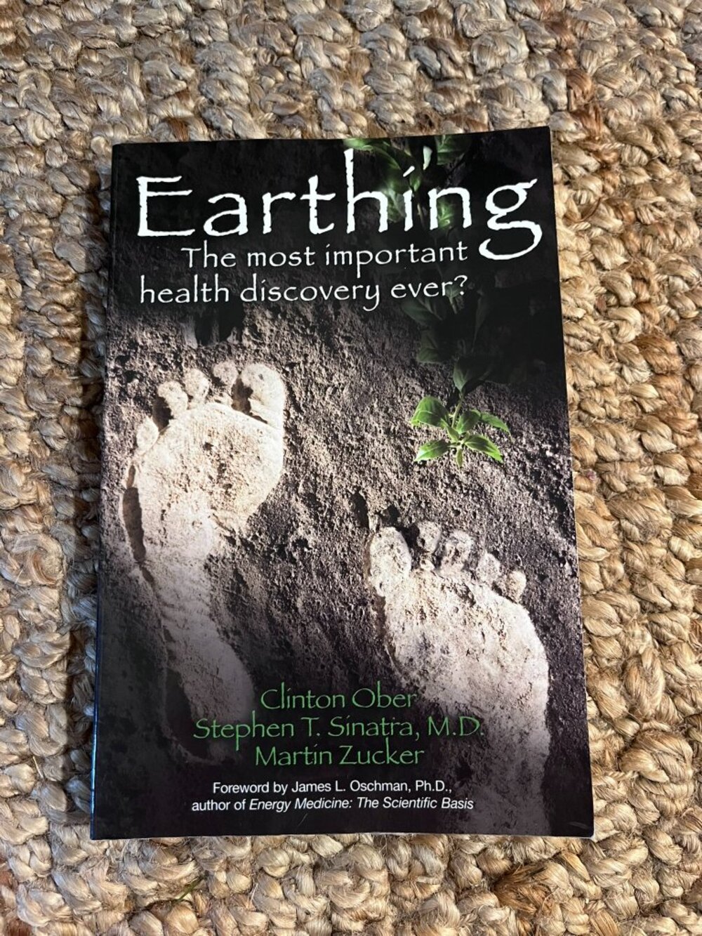 Earthing: The Most Important Health Discovery Ever? (Paperback Book)